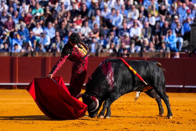 News Bilder des Tages #2 Fourth bullfight of the season in the Maestranza of Seville The novillero Emiliano Osornio in the fourth bullfight of the season April 14, 2026 in Seville Andalusia, Spain In the fourth bullfight of the season in the Plaza de la Real Maestranza, the novilleros Emiliano Osornio, Tomás Bastos and Julio Norte are the protagonists with bulls from the cattle ranch of Talavante 14 APRIL 2026 Joaquí Sevilla Andalucia Sevilla Andalucia Espana  Copyright: xJoaquinxCorcherox 7440793