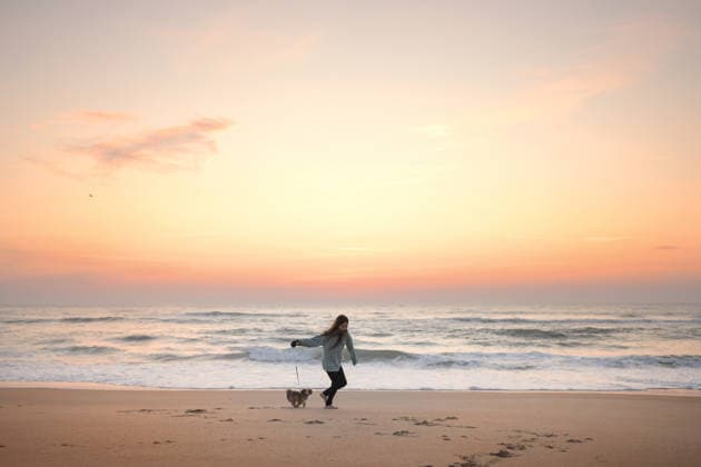 Tween girl running down beach with Shih Tzu puppy Outer Banks No Avon, North Carolina, United States CR_JOKU260413-1994570-01 ,model released, Symbolfoto