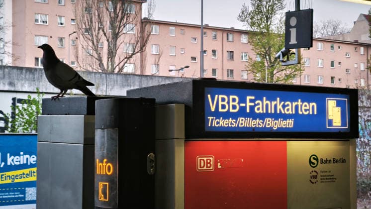 Berlin,15.04.2026,S-Bahnhof Hohenzollerndamm, eine Taube sitzt auf einen VBB-Fahrkarten Automaten
