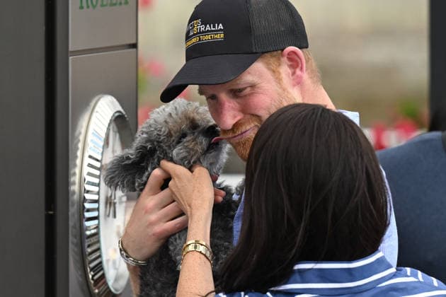 HARRY AND MEGHAN AUSTRALIA VISIT, Prince Harry holds a small dog as he walks with wife Meghan, the Duke and Duchess of Sussex at the Cruising Yacht Club of Australia after sailing on Sydney Harbour with Invictus Australia during a visit to Australia, Sydney, Friday, April 17, 2026. ( NO ARCHIVING SYDNEY NEW SOUTH WALES AUSTRALIA  Copyright: xDEANxLEWINSx 20260417145506895112