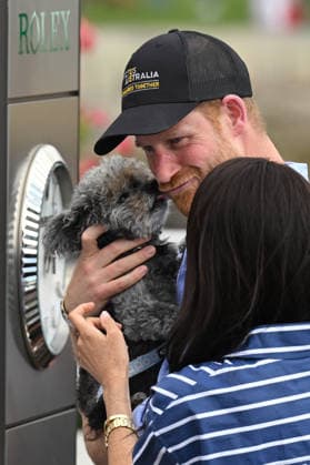 HARRY AND MEGHAN AUSTRALIA VISIT, Prince Harry holds a small dog as he walks with wife Meghan, the Duke and Duchess of Sussex at the Cruising Yacht Club of Australia after sailing on Sydney Harbour with Invictus Australia during a visit to Australia, Sydney, Friday, April 17, 2026. ( NO ARCHIVING SYDNEY NEW SOUTH WALES AUSTRALIA  Copyright: xDEANxLEWINSx 20260417115885989716