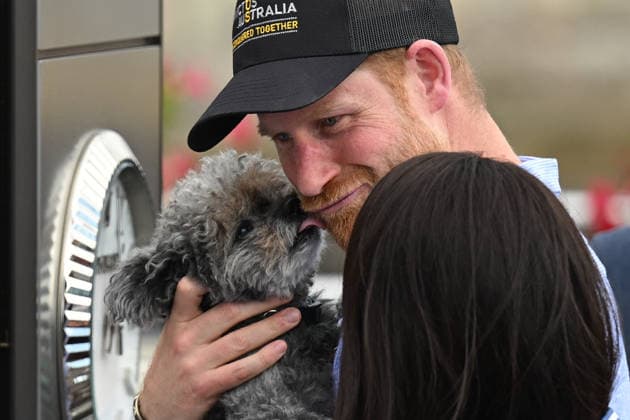 HARRY AND MEGHAN AUSTRALIA VISIT, Prince Harry holds a small dog as he walks with wife Meghan, the Duke and Duchess of Sussex at the Cruising Yacht Club of Australia after sailing on Sydney Harbour with Invictus Australia during a visit to Australia, Sydney, Friday, April 17, 2026. ( NO ARCHIVING SYDNEY NEW SOUTH WALES AUSTRALIA  Copyright: xDEANxLEWINSx 20260417125919138189