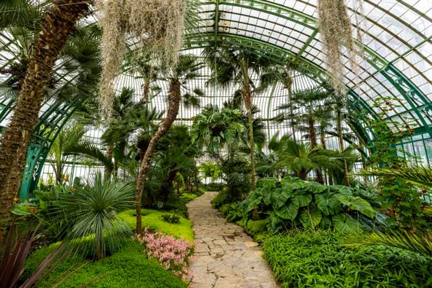 Public opening of the Royal Greenhouse of Laeken LAEKEN, BELGIUM - APRIL 17 : Public opening of the Royal Greenhouse of Laeken pictured on April 17, 2026 in Laeken, Belgium, 17-04-26 Laeken Belgium  Copyright: xXpix