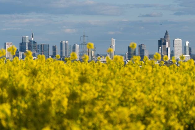 April 19, 2026, Frankfurt, Hesse, Germany: The skyline of Frankfurt s financial district is seen behind a rapeseed field, in Germany. Frankfurt Germany  - ZUMAb332 20260419_zip_b332_016 Copyright: xMatiasxBasualdox