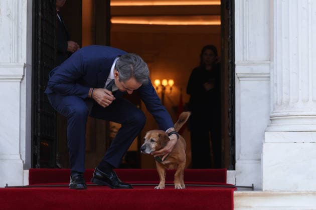 Prince Albert II of Monaco in Greece ATHENS, GREECE - APRIL 21: Greek Prime Minister Kyriakos Mitsotakis pets his dog as he waits to welcome Prince Albert II of Monaco, at Maximos Mansion in Athens, Greece, on April 21, 2026. Costas Baltas Anadolu Athens Greece. Editorial use only. Please get in touch for any other usage.  Copyright: x2026xAnadoluxCostasxBaltasx