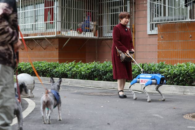 CHENGDU, CHINA - APRIL 21: A visually impaired woman tests an all-terrain smart guide dog on April 21, 2026 in Chengdu, Sichuan Province of China. This robot navigates slopes, uneven roads, and stairs. Featuring HD voice interaction, it supports daily activities such as commuting, shopping, and hospital visits, empowering users with independence through advanced environmental perception and mobility.  Copyright: xChinaxNewsxServicex 111636279627