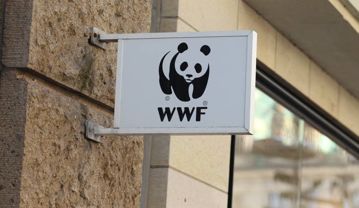 Schild an der Fassade der Bürogebäudes in der Mönckebergstraße vom Internationalen WWF-Zentrum für Meeresschutz der WWF Deutschland in Hamburg. Altstadt Hamburg *** Sign on the facade of the office building in Mönckebergstraße of the International WWF Center for Marine Conservation of WWF Germany in Hamburg Old Town Hamburg