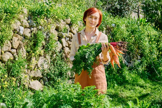 Woman harvesting carrots and beetroots in home organic garden model released, Symbolfoto, CATF00913