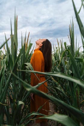 Woman with head back amidst corn crops in field model released, Symbolfoto, TOF00191