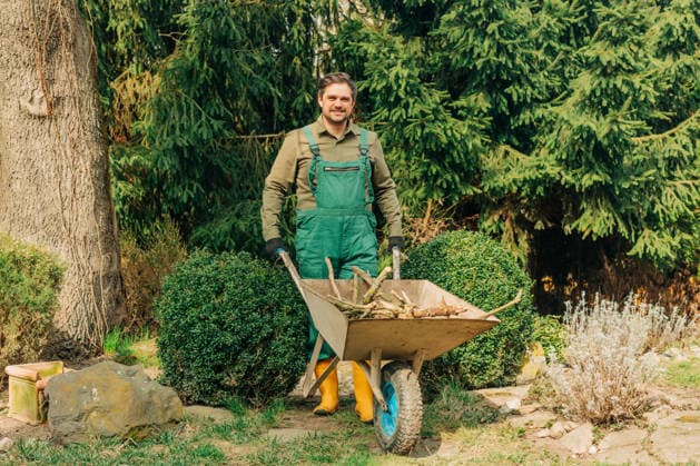Smiling gardener with wheelbarrow pruning branches in spring model released, Symbolfoto, VSNF04779