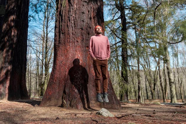 Man levitating in front of giant sequoia tree in tranquil forest model released, Symbolfoto, YPF00167