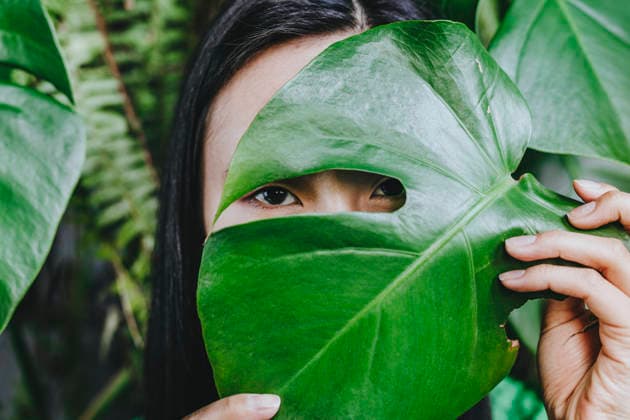 Woman hiding face with monstera leaf model released, Symbolfoto property released, YTF02038
