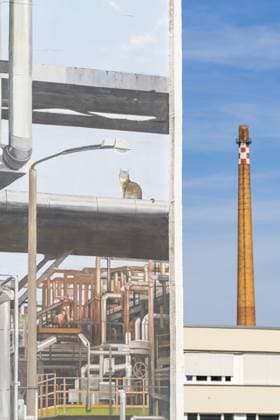 Gebäude der PCK Erdöl-Raffinerie Schwedt mit Graffiti, Streetart, längstes Fassadenbild Deutschlands mit Maschinen und Industrie-Motiven, hinten ein Schornstein, Schwedt an der Oder, Uckermark, Brandenburg, Deutschland PCK Erdöl-Raffeinerie Schwedt building with graffiti, street art, Germany s longest façade with machinery and industrial motifs, a chimney in the back, Schwedt an der Oder, Uckermark, Brandenburg, Germany Copyright: imageBROKER OliverxGerhard ibloge17408829.jpg