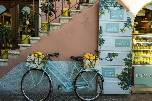 Fahrrad und Zitronen, Limone sul Garda, Gardasee, Lago di Garda, Provinz Brescia, Region Lombardei, Italien Bicycle and lemons, Limone sul Garda, Lake Garda, Brescia Province, Lombardy Region, Italy Copyright: imageBROKER DanielxSchoenen ibxdjs17432036.jpg