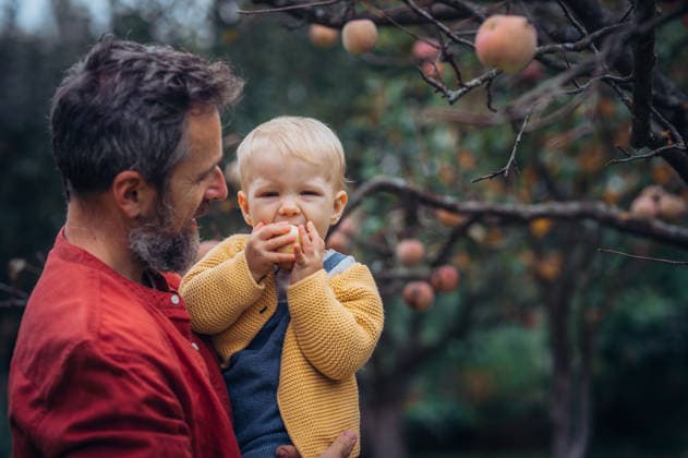 Portrait of daugher and father under apple tree picking apples. Portrait of daugher and father under apple tree in the garden picking apples model released