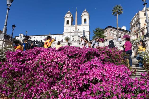 Azalea Exhibition on the Spanish Steps in Rome  Copyright: xMatteoxNardonex xipa-agency.netx xMatteoxNardonex IPA_Agency_IPA74275476
