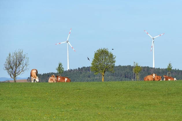 Kulturlandschaft, Strukturvielfalt der Landschaft, Windräder, Wald und Rinder auf der Weide, Nutzung der Windenergie, tierartgerechte Rinderhaltung, Landwirtschaft, Tierwohl, Thüringen *** Cultural landscape, Structural diversity the Landscape, Wind turbines, Forest and Cattle at the Pasture, Use the Wind energy, species-appropriate Cattle farming, Agriculture, Animal welfare, Thuringia 1131609329