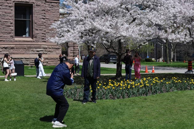 Sakura Trees In Full Bloom, Toronto Canada People take photos and videos of Sakura trees in full bloom at the Legislative Assembly of Ontario in Toronto, Canada, on April 27, 2026. Toronto Canada  Copyright: xArrushxChoprax originalFilename: chopra-notitle260427_npeLj.jpg