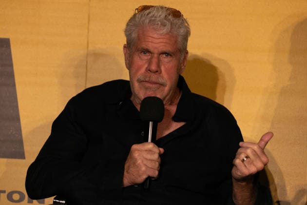 April 28, 2026, Mexico City, Mexico: Actor RON PERLMAN attended the international premiere of Day of the Fight at the National Film Archive in Mexico City. Mexico City Mexico  - ZUMAl178 20260428_znp_l178_006 Copyright: xCristianxLeyvax