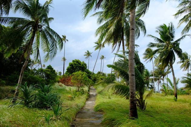 Indonesia Riau Islands Benan Island tropical hiking trail Benan, Kepulauan Riau, Indonesia CR_GFEQ26042208-2003843-01