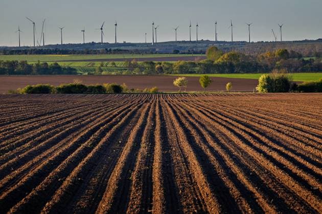 30.04.2026 Blick auf Feld bei Benzigerode im Landkreis Harz in Sachsen-Anhalt, auf dem Kartoffeln angebaut werden. Das markanteste Merkmal sind lange, gerade Hügelreihen (Dämme), die das Feld durchziehen. Diese Dämme entstehen durch Anhäufeln von Erde, was den Kartoffeln Platz bietet, die Wurzeln und Knollen bildet, und verhindert, dass die Knollen durch Sonnenlicht grün werden. Im Hintergrund ist der Windpark Dardesheim zu sehen. Benzingerode Sachsen-Anhalt Deutschland *** 30 04 2026 View of field near Benzigerode in the Harz district of Saxony Anhalt where potatoes are grown The most striking feature is the long, straight rows of ridges that crisscross the field These ridges are created by piling up soil, which provides space for