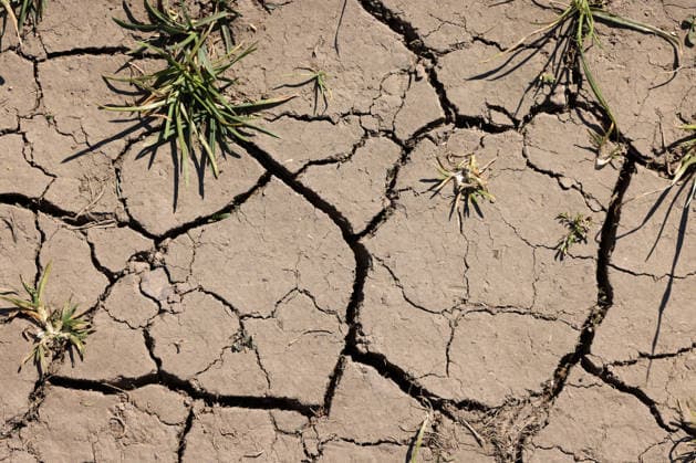 Symbolbild zum Thema starke Trockenheit. Ausgetrockneter Boden mit Rissen bei Siegen-Oberschelden. Fruehling (Frühling) im Siegerland am 01.05.2026 in Siegen Deutschland. *** Symbolic image for the topic severe drought Dried out ground with cracks near Siegen Oberschelden spring in Siegerland on 01 05 2026 in Siegen Germany