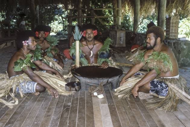 Kava Ritual, Kulturzemtrum, Viti Levu, Fidschi Kava Ritual, Cultural Center, Viti Levu, Fiji Copyright: imageBROKER PeterxFischer ibxpfi16304859.jpg