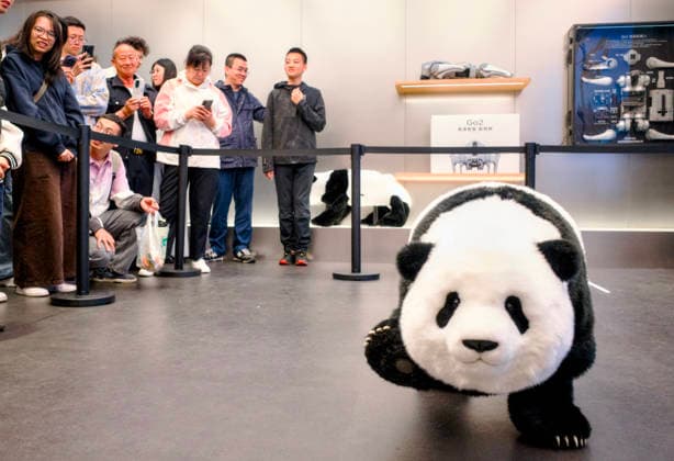 News Bilder des Tages BEIJING, CHINA - MAY 02: A robot is on display at a store of Unitree Robotics on May 2, 2026 in Beijing, China. Unitree Robotics first direct-operated store in China opened here on Thursday.  Copyright: xVCGx 111638745773