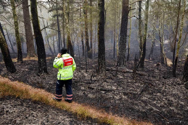 News Bilder des Tages GÖTEBORG, SVERIGE 20260503 En skogsbrand har brutit ut i Delsjöomradet i Göteborgs kommun och har pagatt sedan lördagseftermiddagen. Räddningstjänsten är pa plats och arbetar med att bekämpa branden. GÖTEBORG SVERIGE x9200x *** GÖTEBORG, SWEDEN 20260503 A forest fire has broken out in the Delsjö area in the municipality of Gothenburg and has been raging since Saturday afternoon The emergency services are on the spot and are working to fight the fire GÖTEBORG SWEDEN x9200x  Copyright: xAdamxIhse TTx SKOGSBRAND GÖTEBORG rCweyCUmzGE
