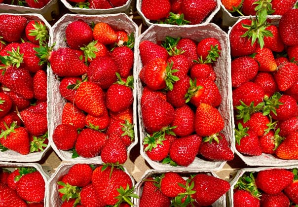 04.05.2026, Deutschland, NRW, Lebensmittel, Obst, Frische Erdbeeren in umweltfreundlichen Verpackungen aus Pappe, Deutschland *** 04 05 2026, Germany, NRW, Food, Fruit, Fresh strawberries in environmentally friendly cardboard packaging, Germany Copyright: xD.xKerlekin SnowfieldxPhotographyx SF040526ErdbeerenD