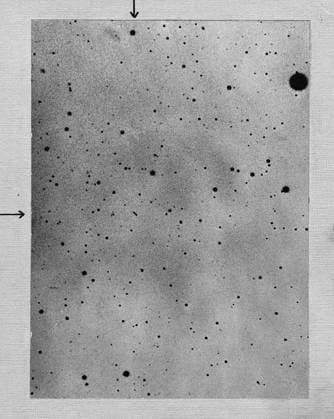 RECORD DATE NOT STATED Photograph by Max Wolf of Heidelberg showing the track of the asteroid (planetoid) Sappho on 21 March 1892. Long exposure of star field showing track of the asteroid (planetoid) Sappho against points of stars. Photograph by Max Wolf of Heidelberg 21 March 1892. Negative not converted to positive to avoid any loss of detail. Editorial use only. All other uses to be cleared with the copyright owner (World History Archive), in advance., WHA_005_0086.jpg, Long exposure; star field; asteroid; planetoid; Sappho; track; stars; Max Wolf; Heidelberg; 1892; astronomy; celestial; night sky; space; photography; negative; detail; historical; astronomy photography; astronomy history; astronomical object; celestial body; astronomica Copyright: xx