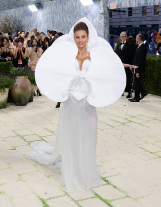 Natasha Poonawalla arrives on the red carpet for the 2026 Met Gala celebrating Costume Art at The Metropolitan Museum of Art on Monday, May 4, 2026 in New York City.  NYP2026050461 JOHNxANGELILLO