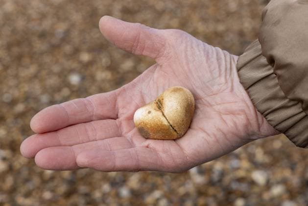 Hand hält herzförmigen Kieselstein, Strand, Felixstowe, England, Großbritannien Hand holding heart-shaped pebble, beach, Felixstowe, England, Great Britain Copyright: imageBROKER SiegfriedxKuttig ibxshg17489174.jpg ,model released, Symbolfoto ,property released