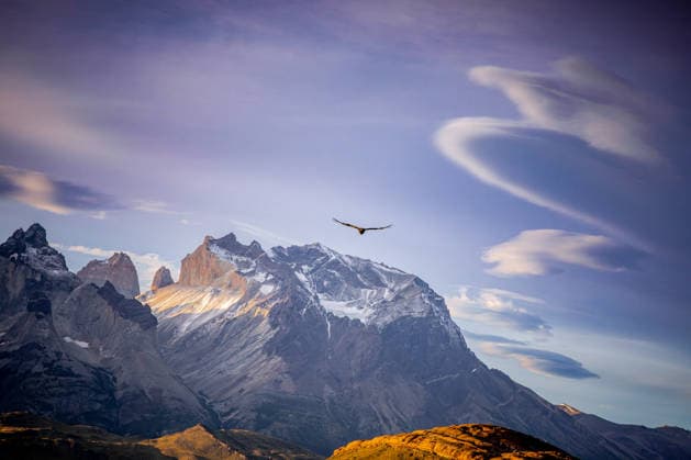 Creative Highlights World Andean condor gliding over mountains, Torres del Paine Chile Torres de Paine, Magallanes y la Antártica Chilena, Chile CR_EVVA260505-2010971-01
