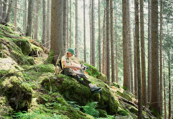 Woman resting with dog in alpine forest in Austria Alps Obertauern, Salzburg, Austria CR_PJJZ260409-1990174-01 ,model released, Symbolfoto