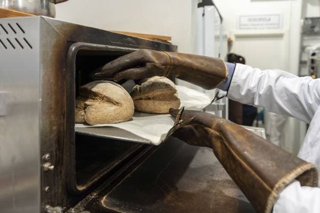 Bäcker trägt schützende Lederhandschuhe und nimmt frisch gebackene Brote im rustikalen Stil aus einem professionellen Umluftofen, wobei der traditionelle Backprozess und die handwerkliche Qualität im Vordergrund stehen Baker wearing protective leather gloves removing freshly baked loaves of rustic bread from a professional convection oven, emphasizing traditional baking process and artisanal quality Copyright: imageBROKER UnaixHuizi ibxuhu17015904.jpg ,model released, Symbolfoto ,property released