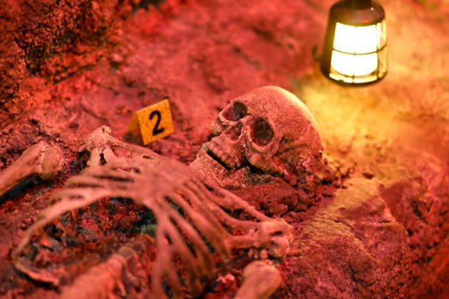 Eine Nachstellung der Ausgrabung der Opfer von John Wayne Gacy zu sehen in der True Crime Ausstellung Serienkiller in Köln Ehrenfeld. Köln, 07.05.2026 NRW Deutschland Copyright: xChristophxHardtx