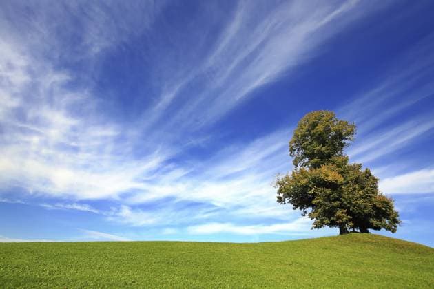 Freistehender Baum auf grünem Hügel unter blauem Himmel mit Wolken Free-standing tree on green hill under blue sky with clouds Copyright: imageBROKER fotoping ibxwth16655215.jpg
