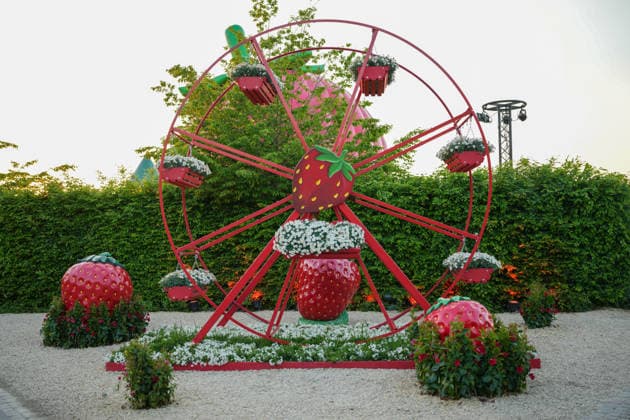 VIP-Abend im Gertrudenhof Erdbeerpark. VIP-Abend im Gertrudenhof Erdbeerpark am 08.05.2026 in Huerth. Hürth Gertrudenhof Erdbeerpark Nordrhein-Westfalen