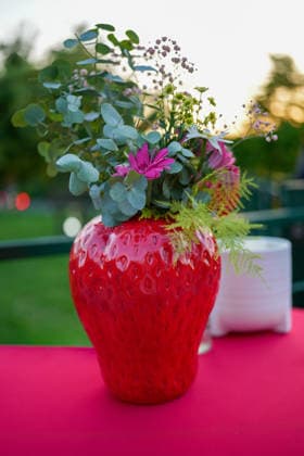 VIP-Abend im Gertrudenhof Erdbeerpark. VIP-Abend im Gertrudenhof Erdbeerpark am 08.05.2026 in Huerth. Hürth Gertrudenhof Erdbeerpark Nordrhein-Westfalen