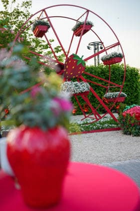 VIP-Abend im Gertrudenhof Erdbeerpark. VIP-Abend im Gertrudenhof Erdbeerpark am 08.05.2026 in Huerth. Hürth Gertrudenhof Erdbeerpark Nordrhein-Westfalen