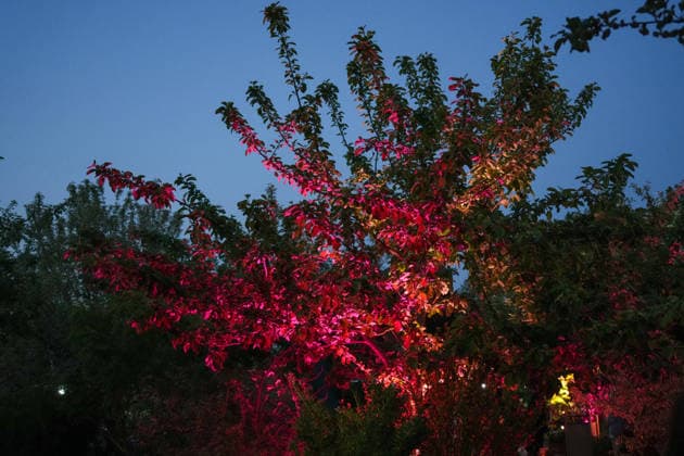 VIP-Abend im Gertrudenhof Erdbeerpark. VIP-Abend im Gertrudenhof Erdbeerpark am 08.05.2026 in Huerth. Hürth Gertrudenhof Erdbeerpark Nordrhein-Westfalen