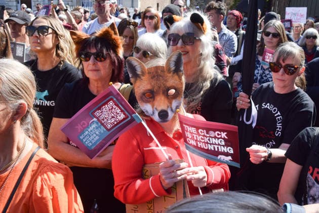 News Bilder des Tages May 9, 2026, London, England, United Kingdom: Protesters gather outside the parliament calling on the government to end fox hunting and hunting with dogs. The rally comes in the midst of a government consultation on so-called trail hunting, which campaigners have described as a smokescreen for actual hunting. London United Kingdom  - ZUMAv130 20260509_zip_v130_031 Copyright: xVukxValcicx