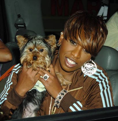 Missy Elliott visits TRL Jul 06, 2005; New York, NY, USA; MISSY ELLIOTT visited TRL at MTV studios in Times Square. Here with her dog.. Copyright: xDanxHerrick-KPAx