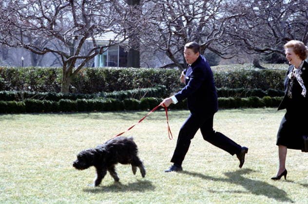 RECORD DATE NOT STATED US President Ronald Reagan with British Prime Minister Margaret Thatcher, White House, Washington DC 1988 US President Ronald Reagan with British Prime Minister Margaret Thatcher, in the Rose Garden, White House, Washington DC 1988 Editorial use only. All other uses to be cleared with the copyright owner (World History Archive), in advance., WHA_068_0668.jpg, US President; Ronald Reagan; British Prime Minister; Margaret Thatcher; Rose Garden; White House; Washington DC; 1988; political leaders; historical photo; international relations; United States; United Kingdom; diplomacy; meeting; summit; leaders; politicians; government; friendship; allies; conservative leaders; Reagan-Thatcher; Cold War; transatlantic relation Copyright: xWorldxHistoryxArchivex