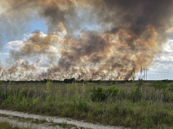 Everglades brush fire continues in Florida FLORIDA, UNITED STATES - MAY 12: (----EDITORIAL USE ONLY - MANDATORY CREDIT - PEMBROKE PINES PD HANDOUT - NO MARKETING NO ADVERTISING CAMPAIGNS - DISTRIBUTED AS A SERVICE TO CLIENTS----) Smoke rises towards Holly Lake area following Everglades brush fire in Pembroke Pines, Florida, United States on May 12, 2026. Fire-rescue has setup along the perimeter of the Holly Lake community to monitor the fire in the event that it approaches Pembroke Pines. Pembroke Pines PD Anadolu Florida United States. Editorial use only. Please get in touch for any other usage.  Copyright: x2026xAnadoluxPembrokexPinesxPDx