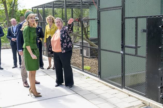 Queen Maxima Opens New Mammal Building - Almere Queen Maxima of the Netherlands opens the new Mammal Building of Stichting AAP in Almere, Netherlands on May 12, 2026, where various species of exotic mammals are housed in a living environment that better meets their natural needs, with more spacious accommodation, professional care and an adapted climate. Photo by Patrick van Emst NL Beeld Bruno PressABACAPRESS.COM Almere Netherlands  Copyright: xBrunoxPress ABACAx