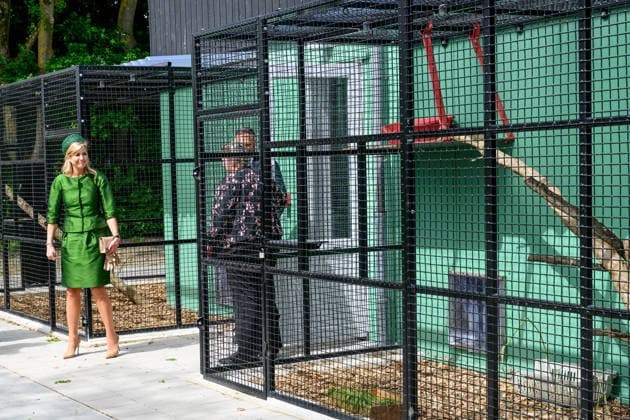 Queen opens the new Mammal Building of the AAP Foundation. Almere, the Netherlands. 12 May 2026 Queen Maxima during a visit to the new Mammal Building of the AAP Foundation. In this building, various types of exotic mammals are accommodated in a living environment that better suits their natural needs. Almere The Netherlands  Copyright: xDPPA POOL PatrickxvanxEmstx