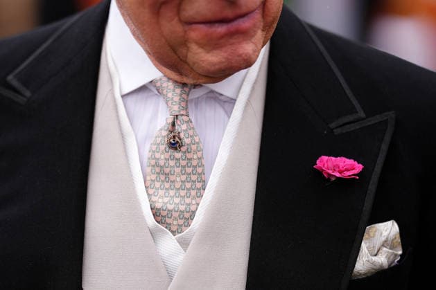 Royal Garden Party at Buckingham Palace Detailed view of King Charles III tie during a Royal Garden Party at Buckingham Palace, London, to celebrate frontline workers from across the United Kingdom and recognise the dedication and contribution of those who serve their communities through volunteering, supporting charitable causes and working for emergency services. Picture date: Tuesday May 12, 2026., Credit:Aaron Chown PA ROTA - B68 Avalon UK, London  Copyright: xAaronxChownx xPAxROTAx-xB68x xAvalonx 1098334865
