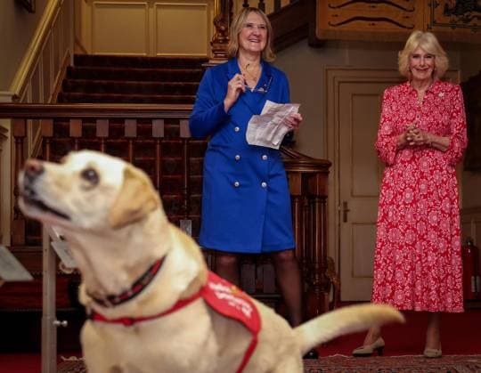 Image Licensed to Parsons Media. 12 05 2026. London, United Kingdom. The Queen- Reception for Medical Detection Dogs. Her Majesty The Queen, as Patron of Medical Detection Dogs, hosts a reception at Clarence House.  Copyright: xAndrewxParsonsx xParsonsxMediax PAR-9207-0002